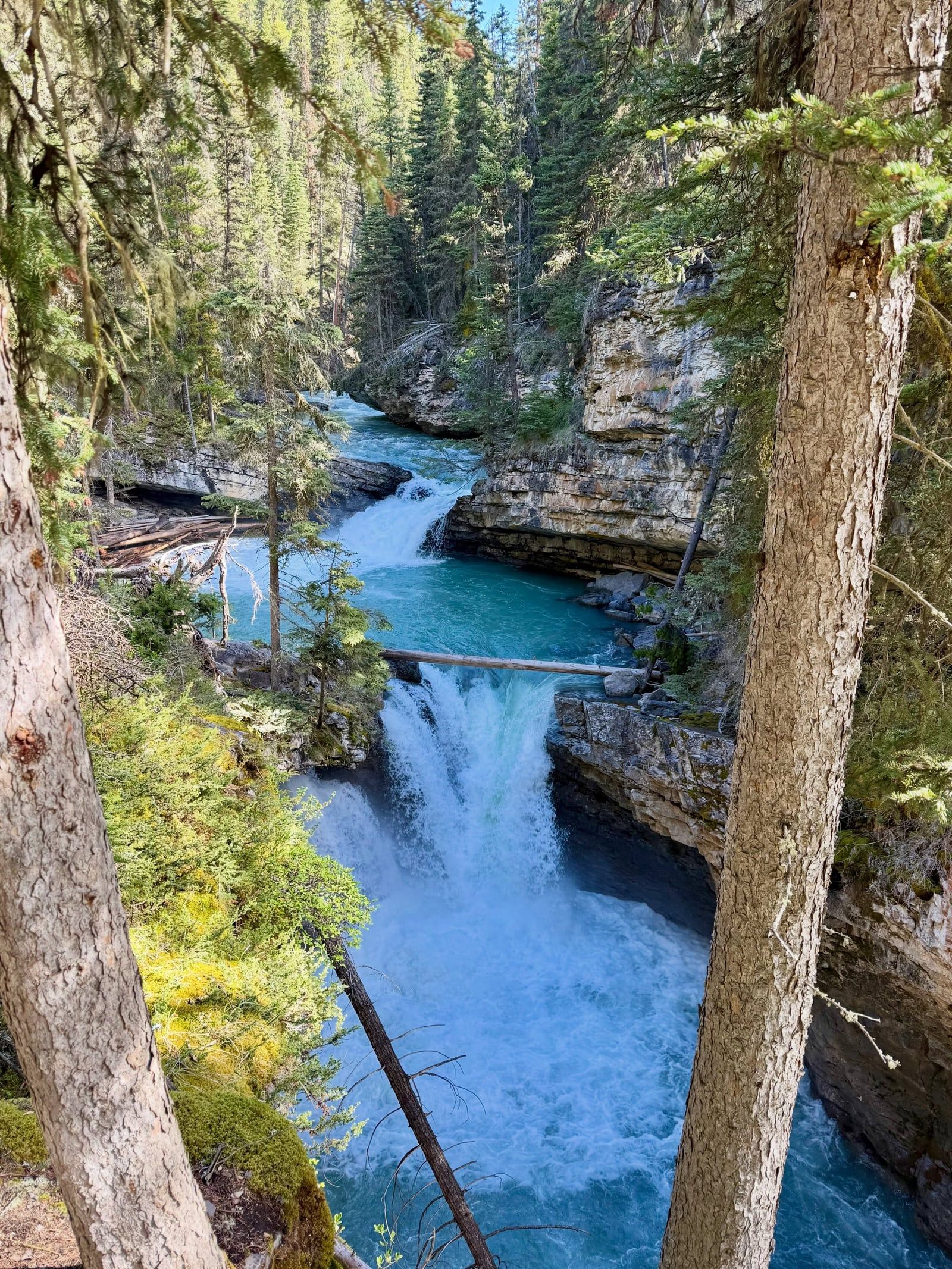 Johnston Canyon view