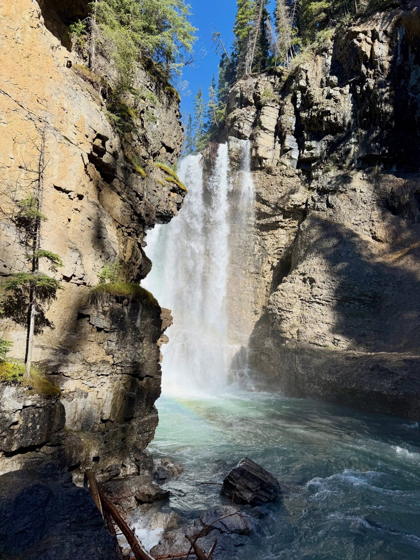 Johnston Canyon view