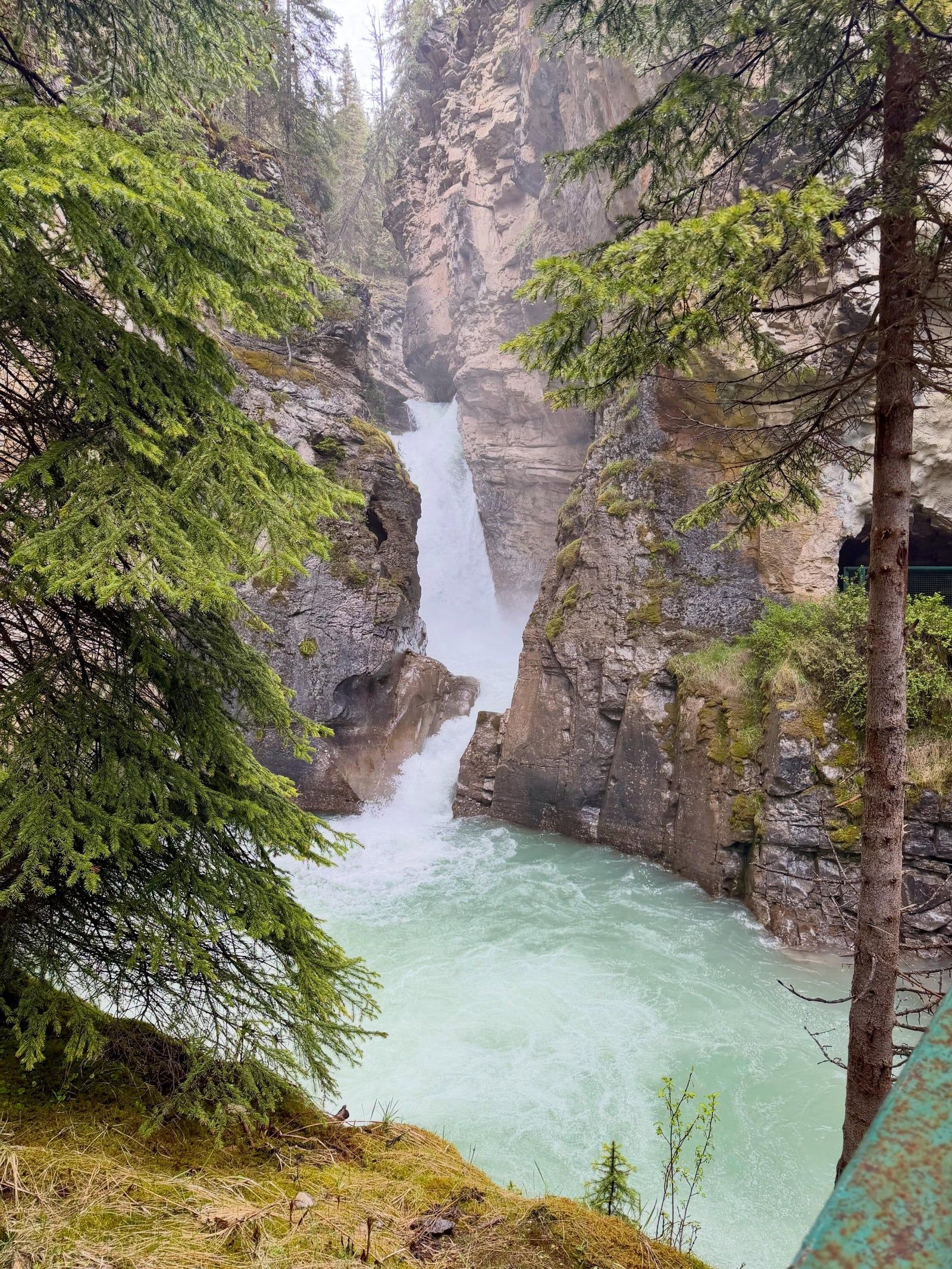 Johnston Canyon view