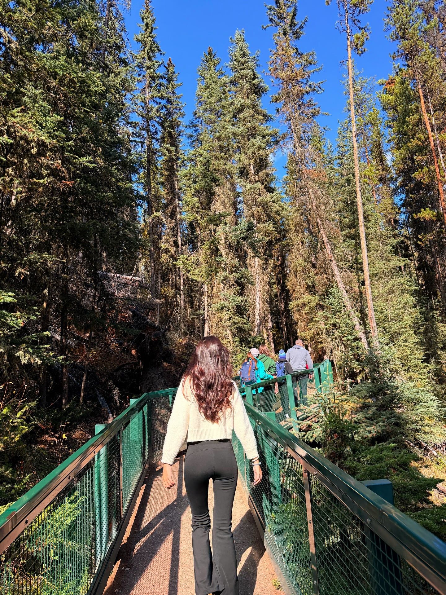 Johnston Canyon tour visitor photo